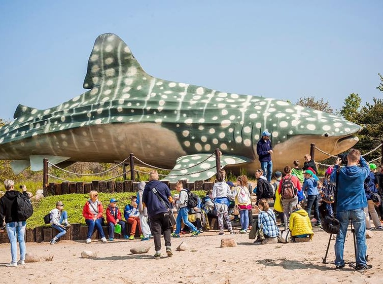 Ocean Park 