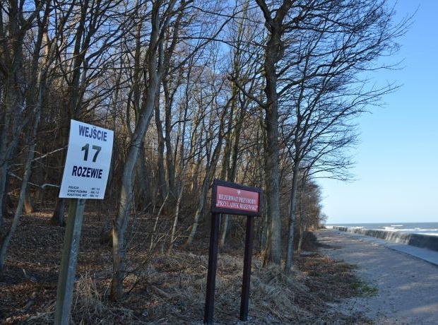 Przylądek Rozewie - miejsce, kt&oacute;re warto zobaczyć!